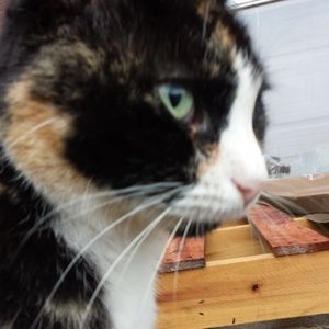 Meet your Posher, Michelle